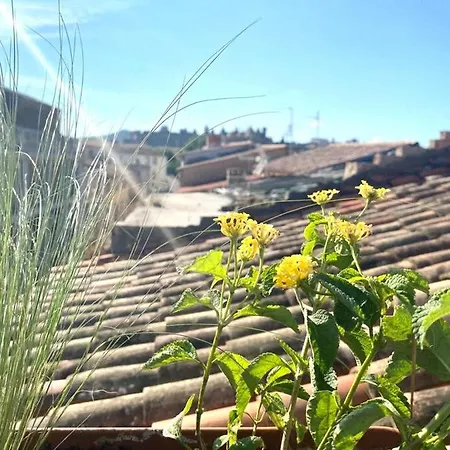 Rooftop Face A La Cite 'rfc' فندق مبيت وإفطار قرقشونه