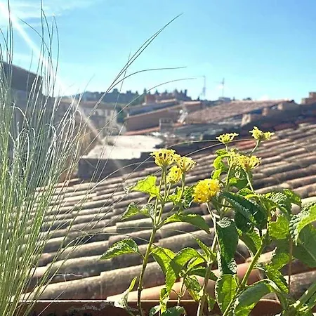 Rooftop Face A La Cite 'rfc' 3*