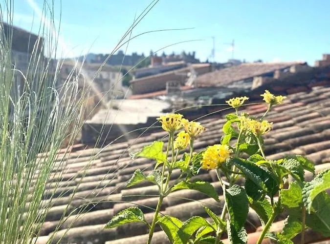 Rooftop Face A La Cite 'rfc' Bed & Breakfast Carcassonne